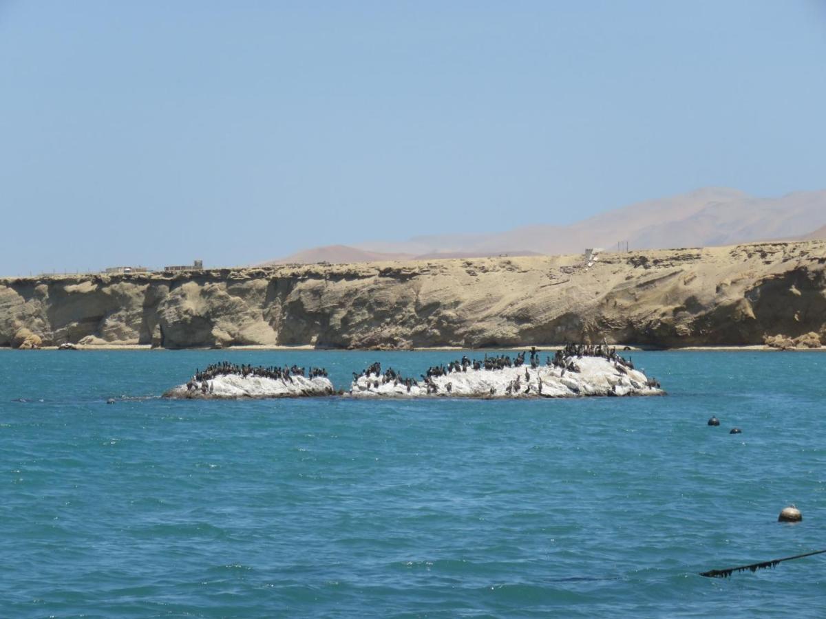 Paracas Apartment Exterior foto